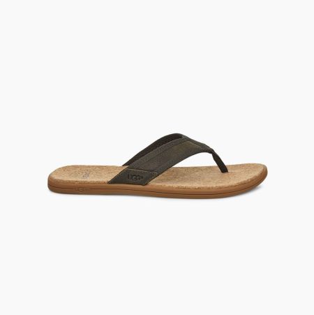 UGG Seaside Green Flip Flops for Men (RBUI72369)